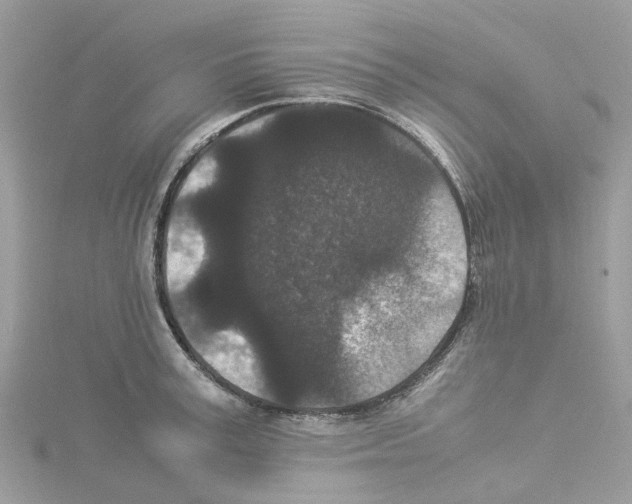 X0000114090995200911161033