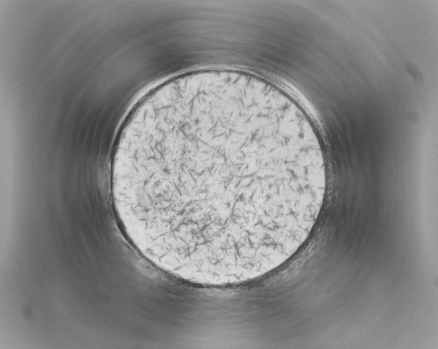 X0000114090996200911161033