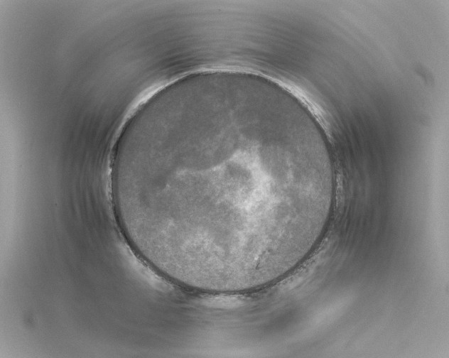 X0000114090998200911161033