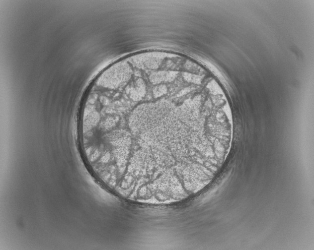 X0000114090999200911161033