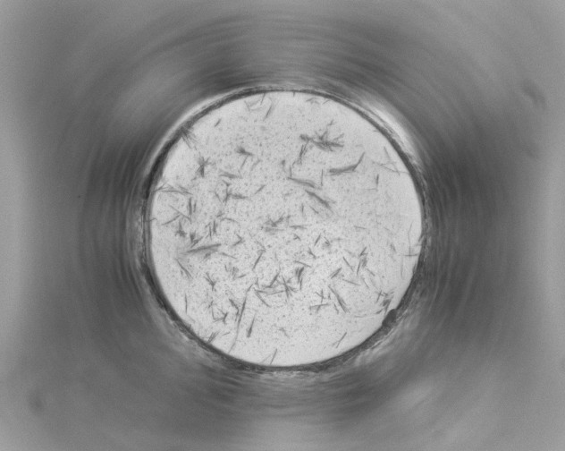 X0000114091000200911161033