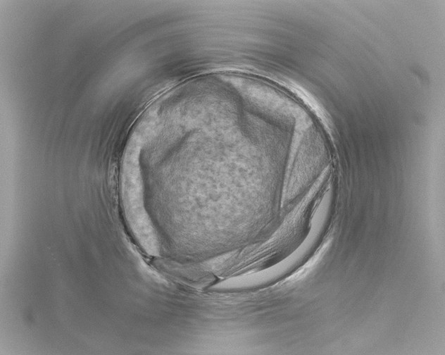 X0000114091001200911161033