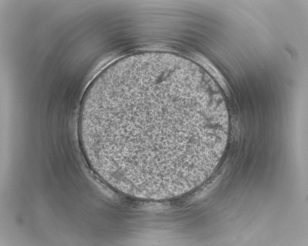 X0000114091002200911161033