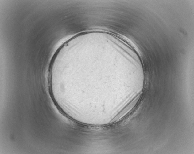 X0000114091003200911161033