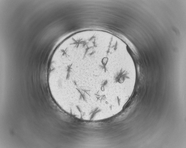 X0000114091004200911161033