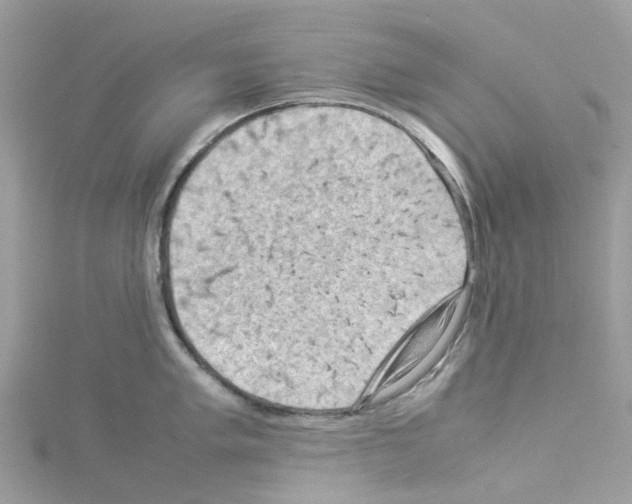 X0000114091005200911161033