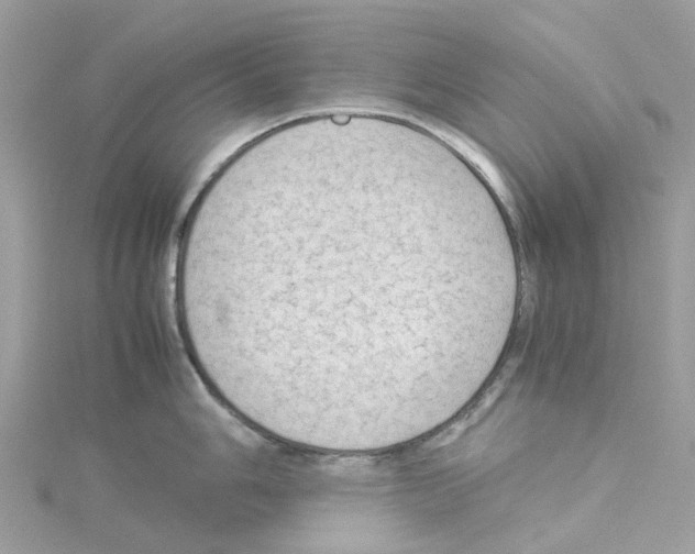 X0000114091006200911161033