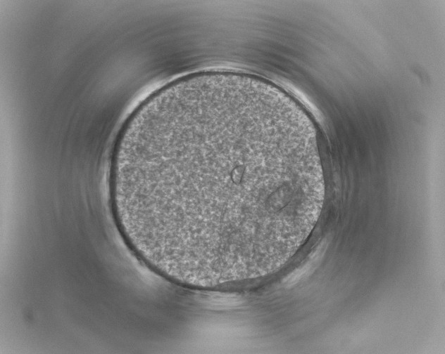 X0000114091007200911161033