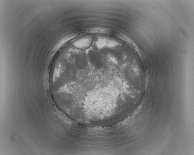 X0000114091019200911161032