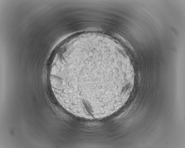 X0000114091021200911161032