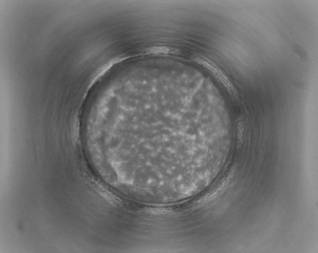 X0000114091023200911161032