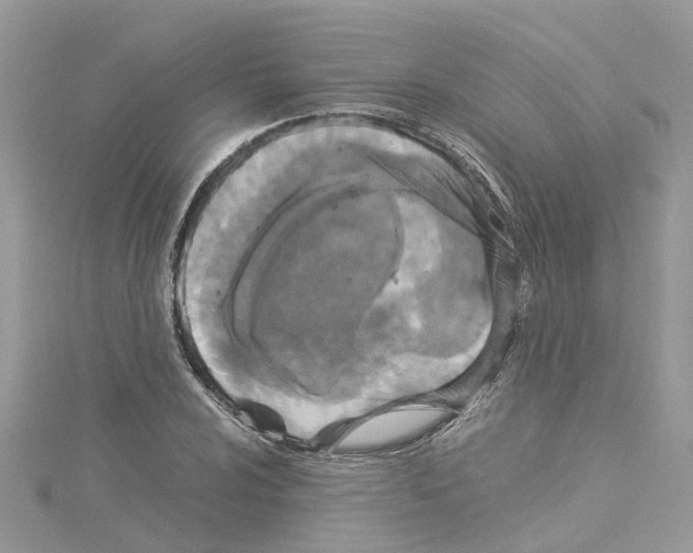 X0000114091024200911161032