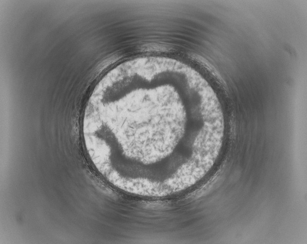 X0000114091025200911161032