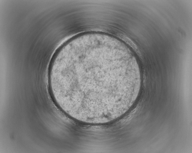 X0000114091028200911161032