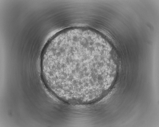 X0000114091030200911161032