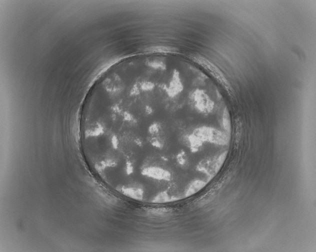 X0000114091031200911161032