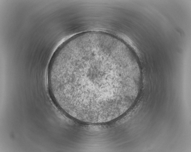 X0000114091032200911161032