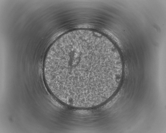 X0000114091033200911161032