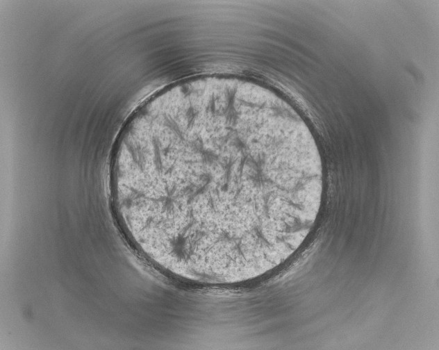 X0000114091034200911161032