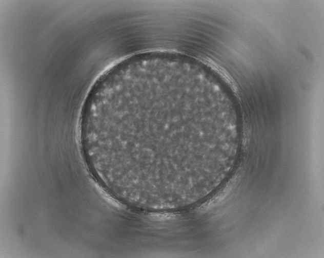 X0000114091037200911161033