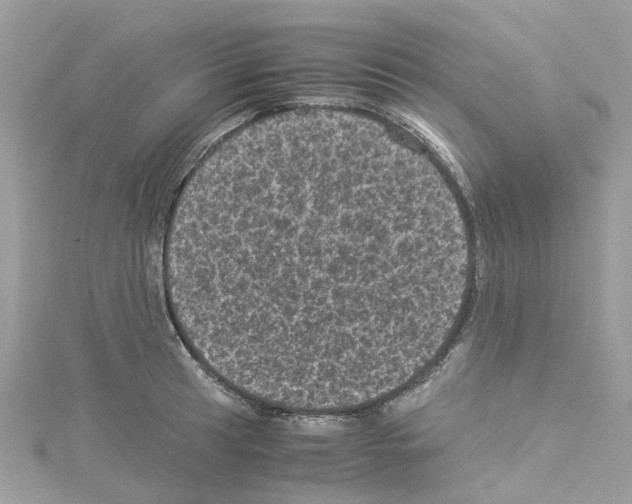 X0000114091041200911161033