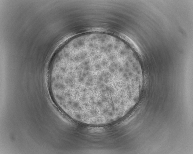 X0000114091043200911161033