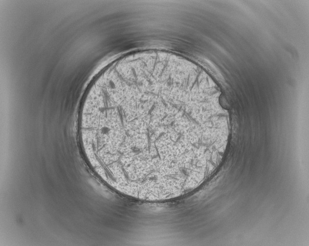 X0000114091044200911161033