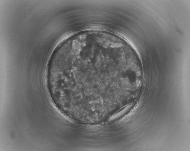 X0000114091045200911161033