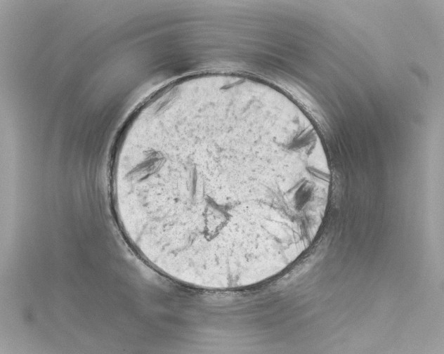 X0000114091046200911161033