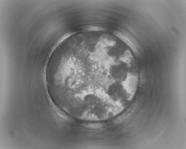 X0000114091047200911161033