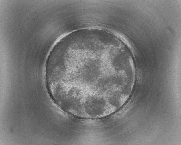 X0000114091048200911161033