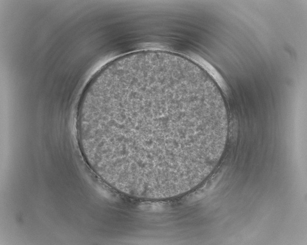 X0000114091051200911161033