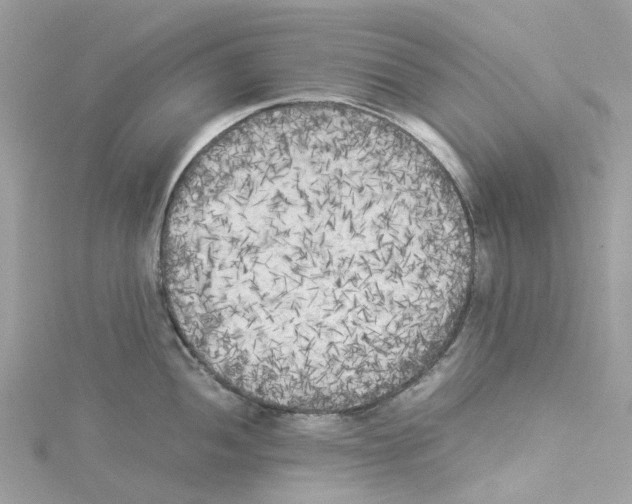 X0000114091052200911161033