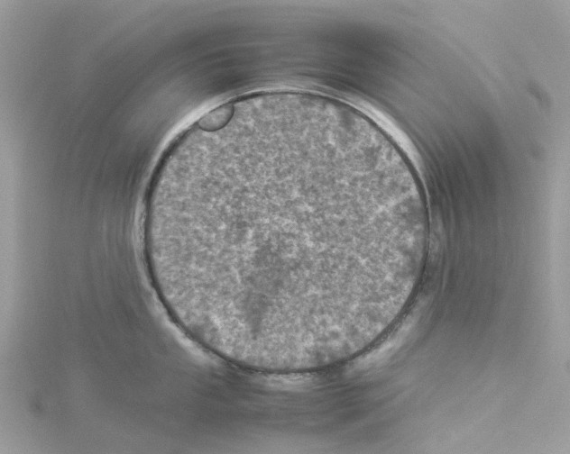 X0000114091053200911161033