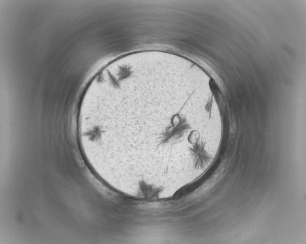 X0000114091054200911161033