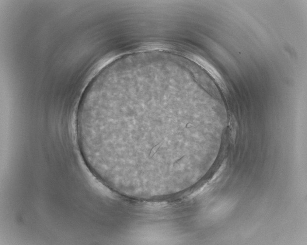 X0000114091055200911161033