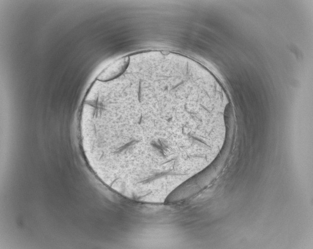 X0000114091056200911161033