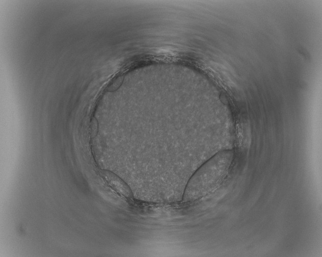 X0000114091057200911161032