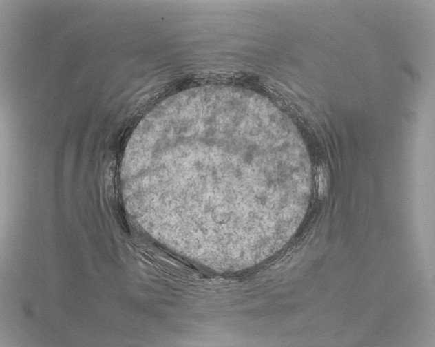 X0000114091059200911161032