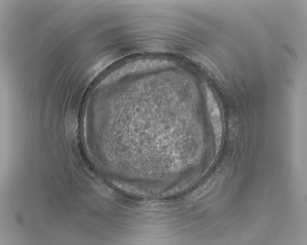 X0000114091065200911161032