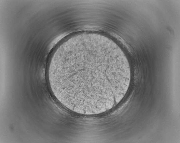 X0000114091066200911161032