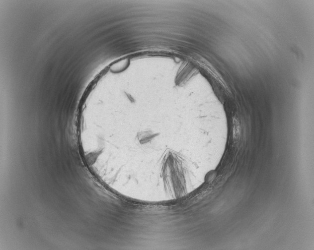 X0000114091068200911161032