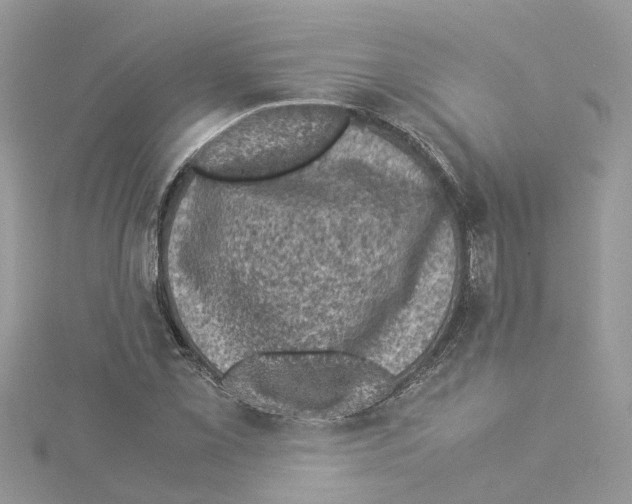 X0000114091069200911161032