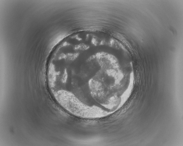 X0000114091071200911161032