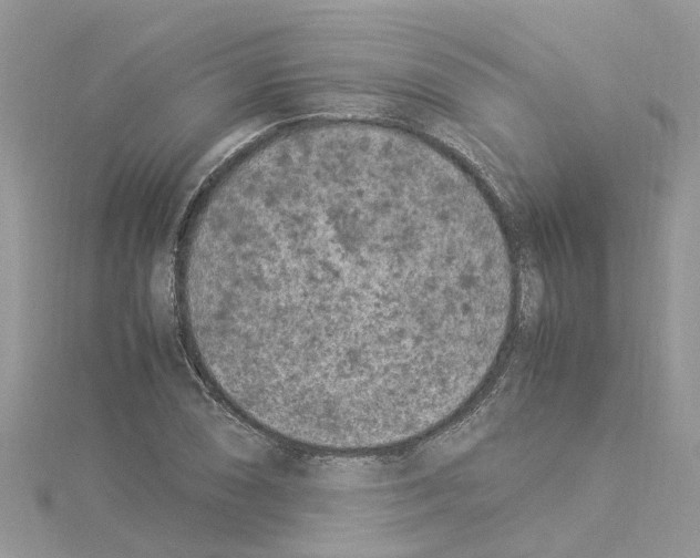 X0000114091074200911161032