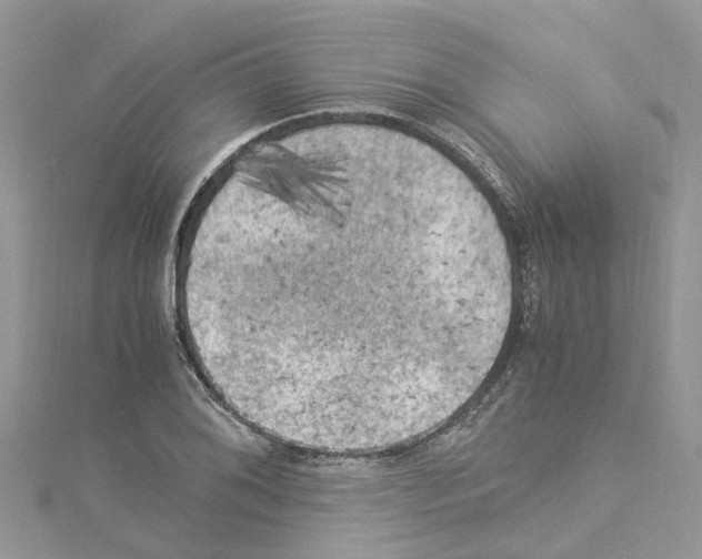 X0000114091076200911161032