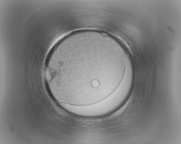 X0000114091077200911161032