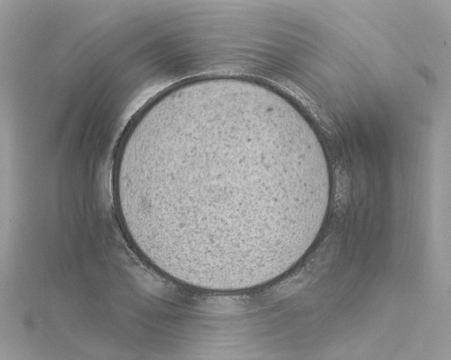 X0000114091078200911161032