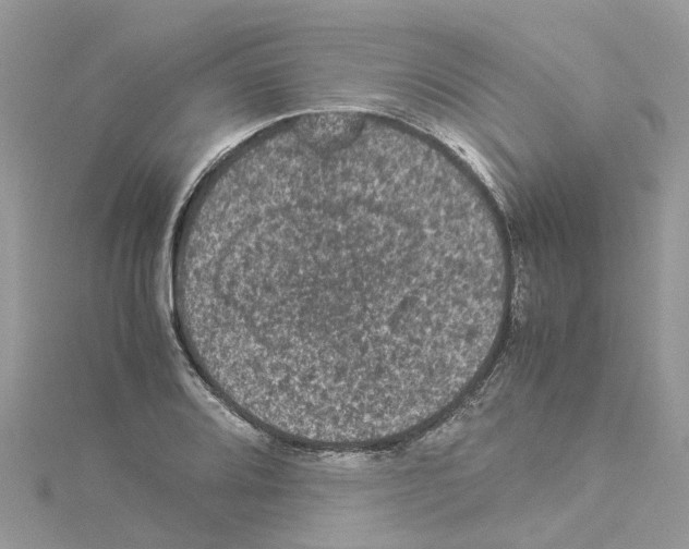 X0000114091080200911161032