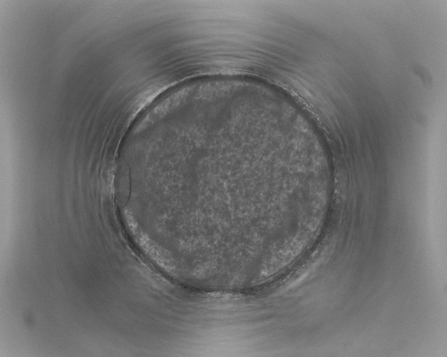 X0000114091081200911161032